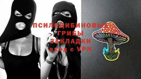 меф Арсеньев