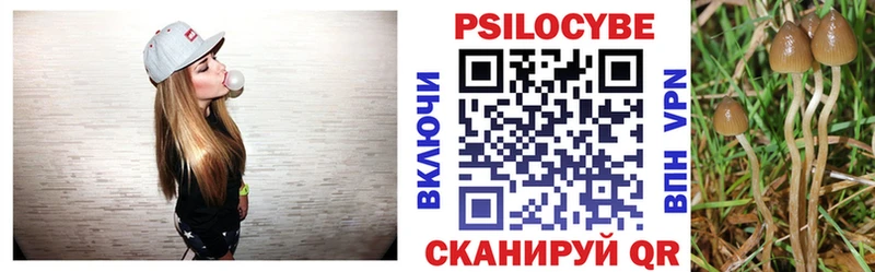 Псилоцибиновые грибы Psilocybine cubensis  закладка  Струнино 